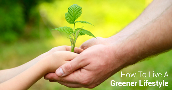 How To Live A Greener Lifestyle