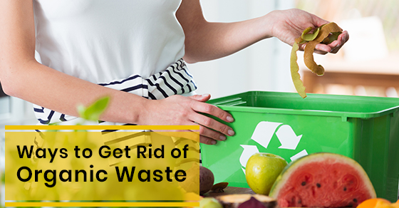 Ways to Get Rid of Organic Waste