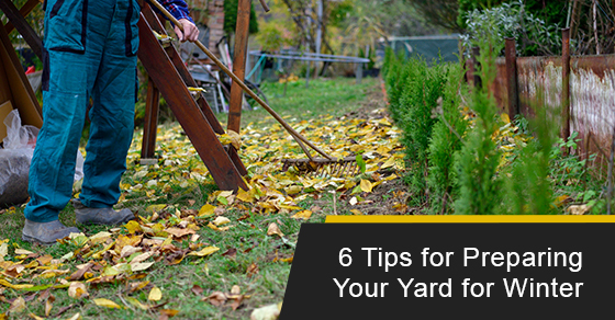 Tips to prepare your yard for winter