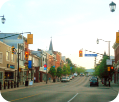 Milton Serive Area - Gorilla Bins