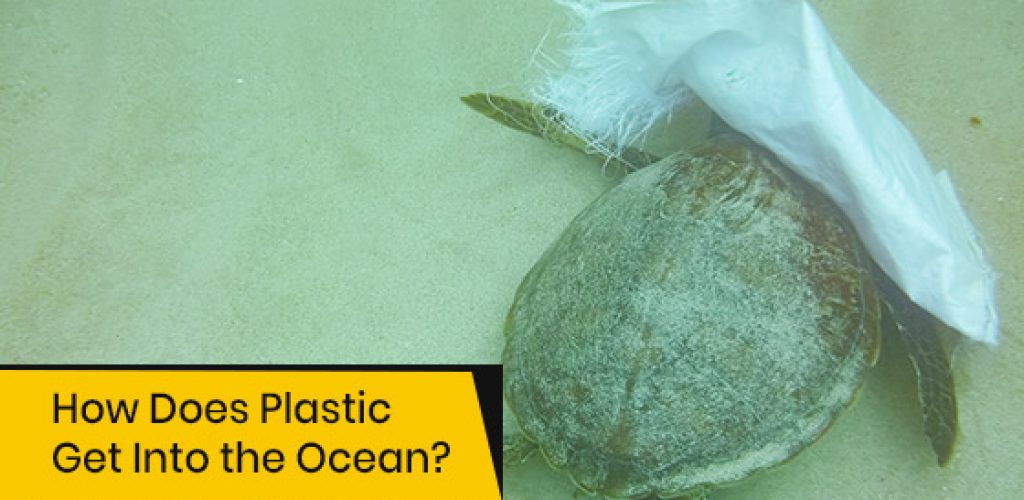 How does plastic get into the ocean?