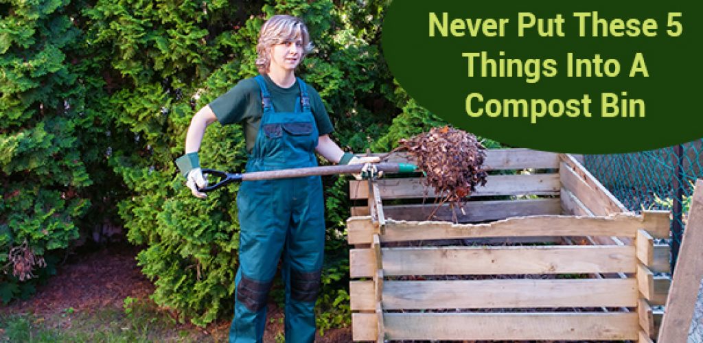 Never Put These 5 Things Into A Compost Bin