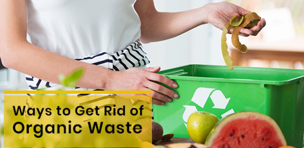 Ways to Get Rid of Organic Waste